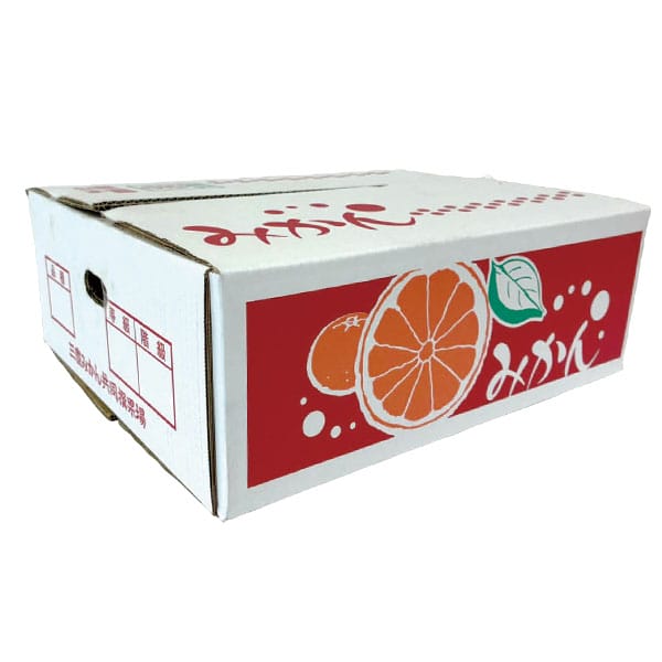 香川県産(JA香川県) 三豊共選いしじみかん 計5kg以上・S〜L