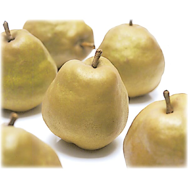 山形県産 ゴールド(金系)ラ・フランス 9〜11個 【限定100点】【お届け期間:11/21(金)〜12/20(土)】【MK】　商品画像1