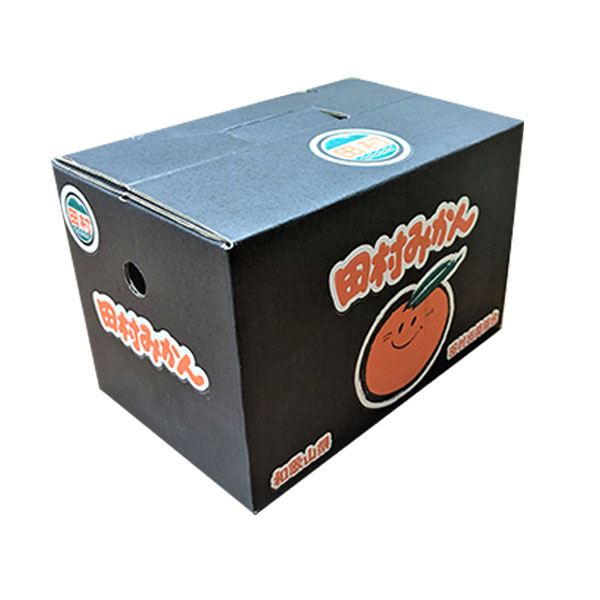 和歌山県産 田村みかん 青秀以上 (Lサイズ 2.7kg)指定日お届け可【限定200点】【お届け期間:2025年11月21日〜2025年12月29日】【おいしいお取り寄せ】　商品画像1