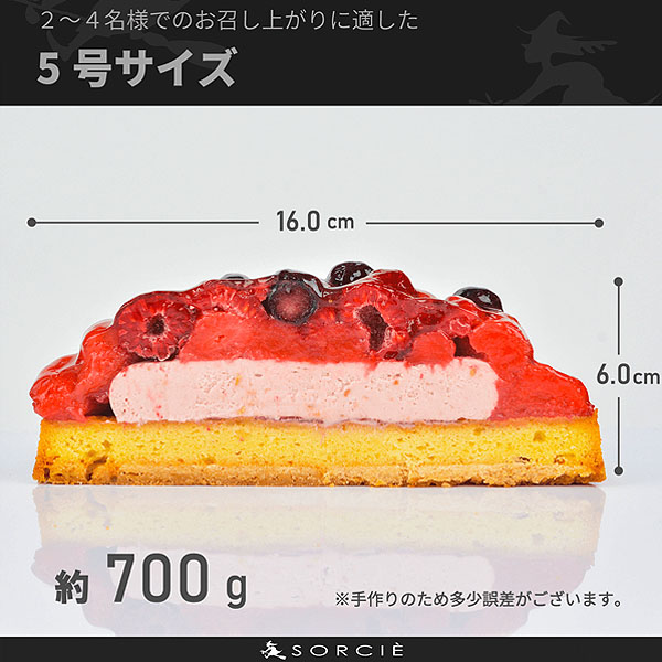 魔法洋菓子店ソルシエ ベリーグッドタルトケーキ クリスマス飾り付【イオンのクリスマス】　商品画像1