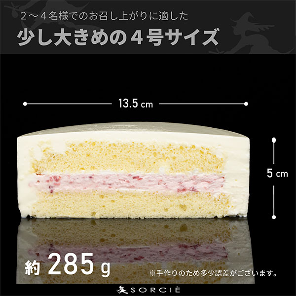 魔法洋菓子店ソルシエ デコるだケーキ ホワイト【イオンのクリスマス】　商品画像1