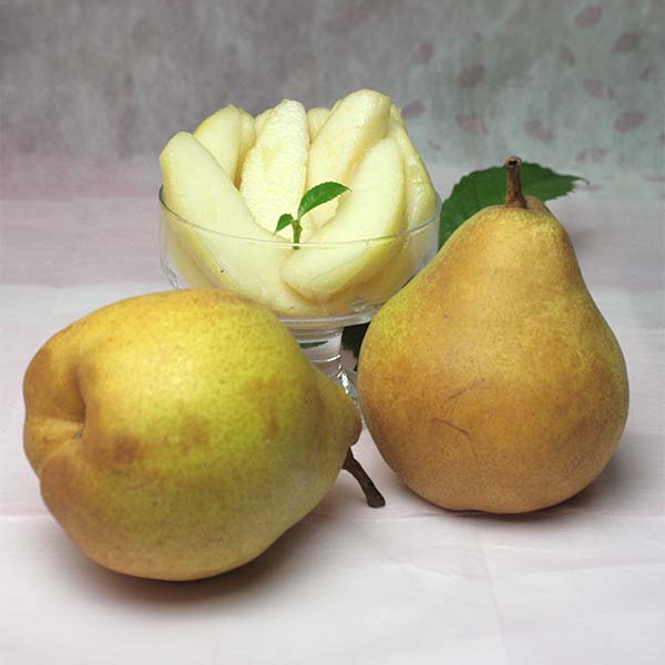 山形県産(上山市) 洋なし トワイエンヌ・デュ・コミス (お届け期間：11月15日〜12月30日)【おいしいお取り寄せ】　商品画像1