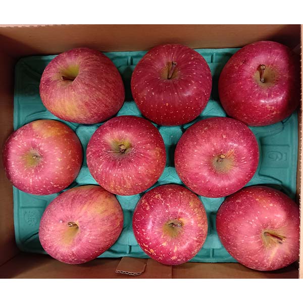 青森県産 葉とらずりんご ご家庭用 2.7kg【限定500点】【お届け期間：1月6日〜1月31日】【お買い得セール12月】　商品画像1