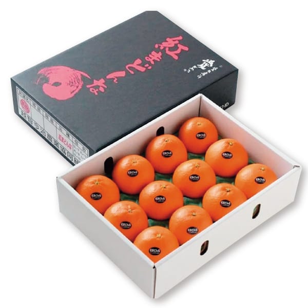 愛媛県産 紅まどんな2.7kg(8玉〜12玉入り)【お届け期間】2025/12/10‐2025/12/31【KN】 商品画像1