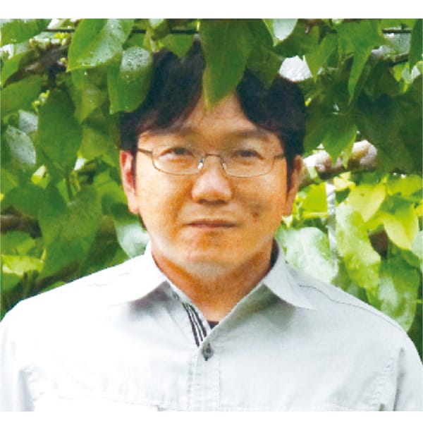 栃木県産 大田原市湯津上地区 江崎哲治さんちのにっこり梨(2.3kg・5個入)【お届け期間】2025/10/25‐2025/12/17【KN】　商品画像1