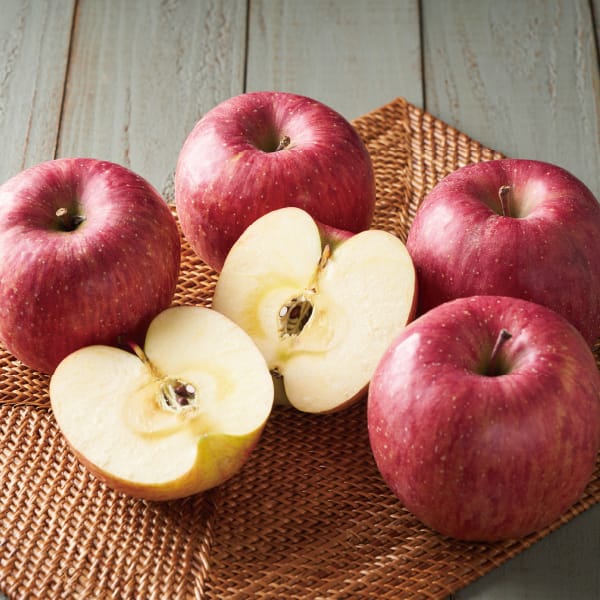 長野県産 長野市地区芋井の里 サンふじりんご4.5kg(12〜18玉)【お届け期間】2025/12/1‐2025/12/28【KN】　商品画像1