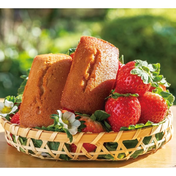 栃木県 いちごの里ファームたっぷり苺のフィナンシェ12個【お届け期間】2025年10月26日-2026年1月10日【冬の贈りもの・お歳暮】【KN】 商品画像1