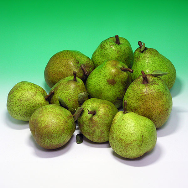 山形県産 ラ・フランス バラ詰め ご家庭用 わけあり 5kg【限定