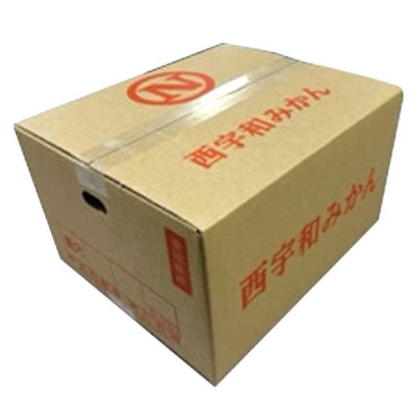 愛媛県産(JAにしうわ・川上共選)川上みかん計10kg以上・Mサイズ(緑○)【お届け期間:11月21日〜12月28日】【従業員感謝WEEK】【NN】　商品画像1