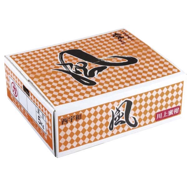 愛媛県産(JAにしうわ・川上共選)風みかん計5kg以上・Mサイズ(秀)【お届け期間:11月21日〜12月28日】【従業員感謝WEEK】【NN】　商品画像1