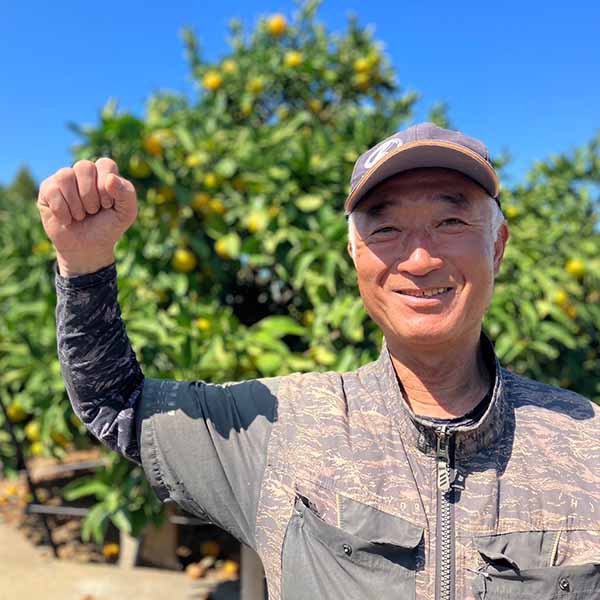 熊本県産 福嶌さんの小粒みかん バラ詰め 2kg【限定200点】【お届け期間:12月20日〜12月28日】【イオンゴールドカード会員さま限定特別セール12月】 商品画像1