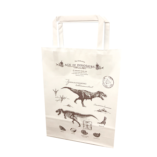 エイジ・オブ・ダイナソー 恐竜ショコラM チョコレート菓子12個入【お届け期間：1月15日〜2月21日】【バレンタイン】　商品画像1