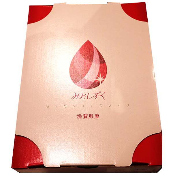 滋賀県産 いちご みおしずく 産地化粧箱450g 1箱【限定50点】【お届け期間:2月10日〜3月30日】【おいしいお取り寄せ】 商品画像1
