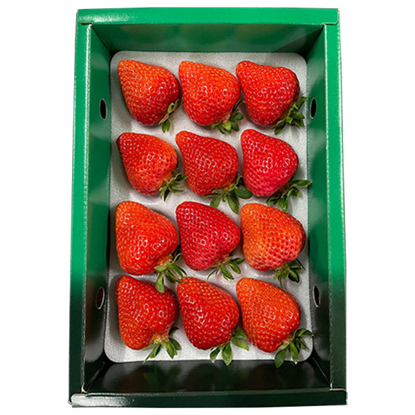 福岡県産 いちご 博多あまおう 緑化粧箱入り 400g【お届け期間:1月7日〜2月10日】【おいしいお取り寄せ】 商品画像1