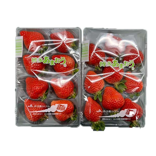 福岡県産 いちご 博多あまおう ゆりカーゴ(6・8・9・11玉) 250g×2パック【お届け期間:1月7日〜2月10日】【おいしいお取り寄せ】 商品画像1