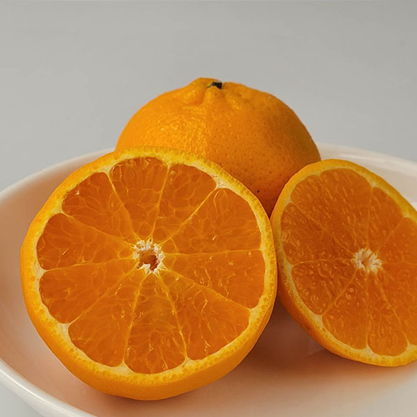 熊本県産 ポンカン 5kg【お届け期間：2月1日〜2月28日】【イオンゴールドカード会員さま限定特別セール1月】　商品画像1