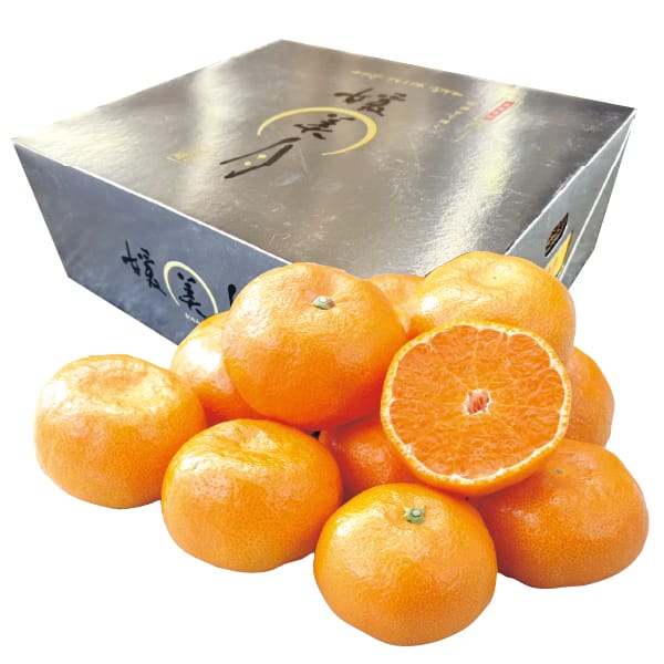 愛媛県産JAみなの共選高糖度みかん(極媛)4.8kg M〜S【お届け期間】2025/12/21‐2026/1/25【お買い得セール12月】【KN】　商品画像1