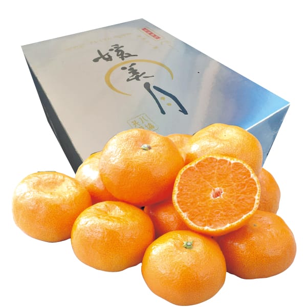 愛媛県産JAみなの共選高糖度みかん(極媛)2.3kg M〜S【お届け期間】2025/12/24‐2026/1/22【お買い得セール12月】【KN】　商品画像1