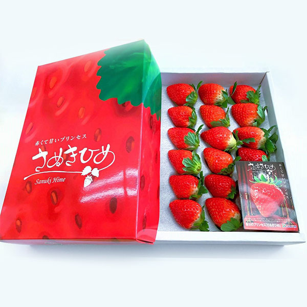 香川県 さぬきひめいちご 400g化粧箱 1箱(15〜18粒)【お届け期間:2月5日〜3月31日】【NN】 商品画像1