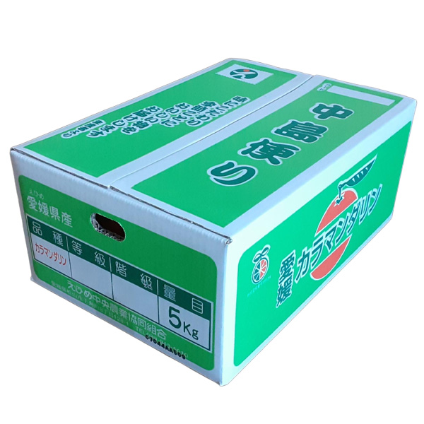 愛媛県 JAえひめ中央(中島) カラマンダリン (中島産) 計5kg以上 良3L〜2L【お届け期間:4月1日〜4月30日】【NN】　商品画像1
