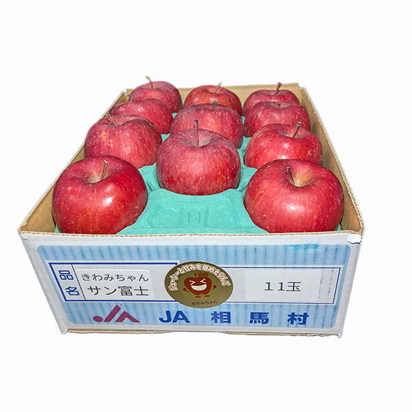 青森県産(JA相馬村) りんご サンふじ きわみちゃん 特選 2.7kg 9〜11個【限定100点】【お届け期間：2月20日〜3月10日】【お買い得セール2月】　商品画像1