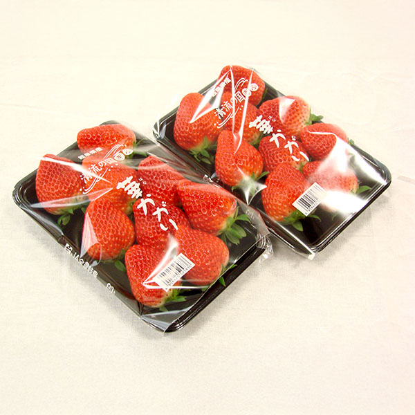 岐阜県産 いちご「華かがり」 2パック【限定200点】【お届け期間：3月1日〜3月31日】【お買い得セール2月】　商品画像1