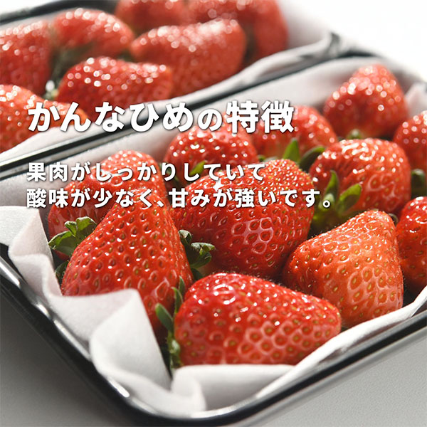 岡山県岡山市産 広岡農園の大粒いちご(かんなひめ)平パック 270g(12-15粒)2パックセット【お届け期間:2月15日〜4月30日】【NN】　商品画像1
