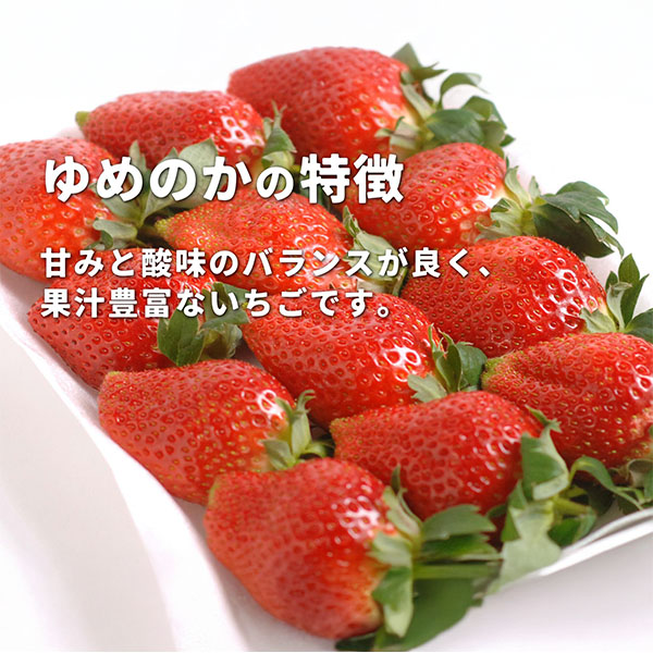 岡山県岡山市産 広岡農園の大粒いちご(ゆめのか)平パック 270g(12-15粒)2パックセット【お届け期間:2月15日〜4月30日】【NN】　商品画像1