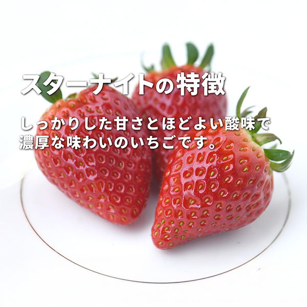 岡山県岡山市産 広岡農園の大粒いちご(スターナイト)平パック 270g(12-15粒)2パックセット【お届け期間:2月15日〜4月30日】【NN】　商品画像1