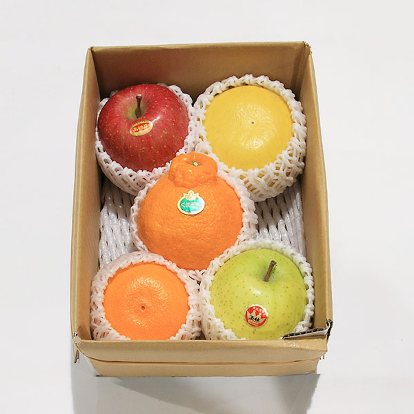 豊洲市場発 国産 旬の果物詰合せ(小) ご自宅用箱入り【おいしいお取り寄せ】　商品画像1