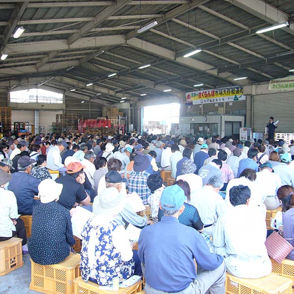 青森県産(南部) さくらんぼ 紅秀峰 250g×2パック入 バラ (秀品 L〜2Lサイズ)【限定500点】【お届け期間:7月1日〜7月20日】【おいしいお取り寄せ】 商品画像1