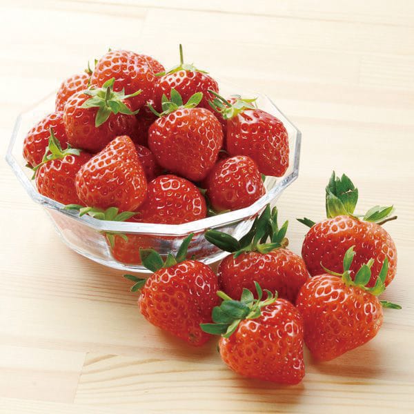 新潟県JA新潟かがやきいちご(越後姫)1パック・310g入×2パック【お届け期間】2026/03/10‐2026/05/10【KN】 商品画像1