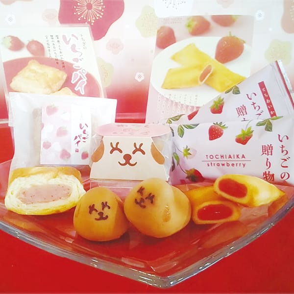 栃木 もめん弥「がんこ職人」 いちご菓子詰合せ13個入【KN】　商品画像1