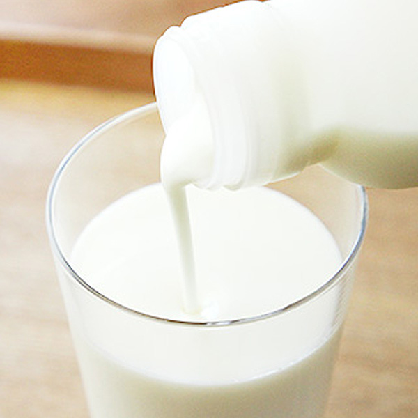 新潟 ヤスダヨーグルトヤスダヨーグルトギフト G1950【KN】　商品画像1