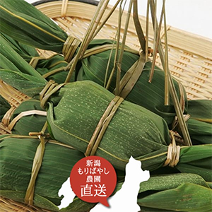 新潟 新潟 森林農園笹団子 こしあん 15個【KN】 商品画像1