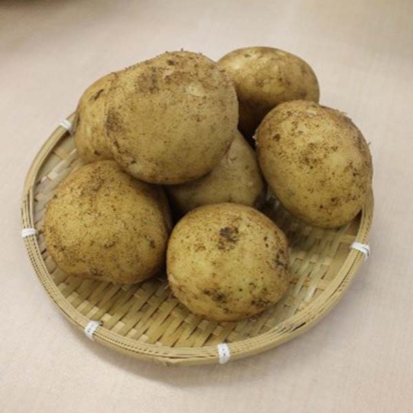 鹿児島県産 ばれいしょ 5kg【限定50点】【お届け期間:3月25日〜4月25日】【超!春トク祭り】 商品画像1