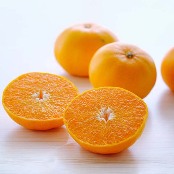 愛媛県八幡浜市産 せとか 秀品 2kg M〜2Lサイズ【限定500点】【お届け期間：3月20日〜3月31日】【超！春トク祭り】　商品画像1