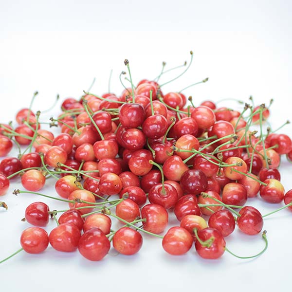 山形県産 さくらんぼ 佐藤錦 400g ご自宅用【限定500点】【お届け期間：6月15日〜6月30日】【超！春トク祭り】　商品画像1