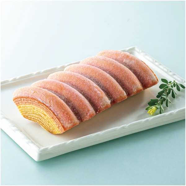 アサミグリーンプランツ カーネーション「伝えたい想い」(SUSTEE付)+神戸スイーツポートの母の日2層バウム(プレーン&いちご)【母の日】 商品画像1