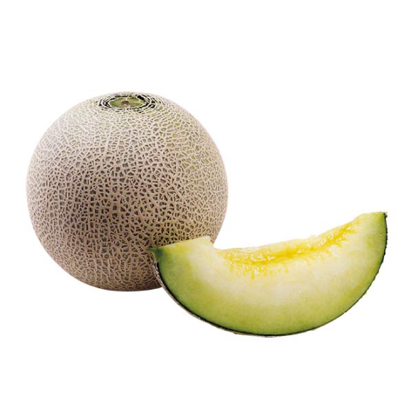 青森県産(つがるメロン協議会) キスロマンメロン(お届け期間：8/21〜8/31)【夏の贈りもの・お中元】　商品画像1