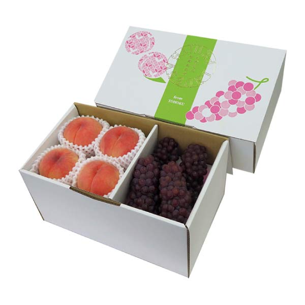 山形県産 山形・夏のフルーツセット(2種)(お届け期間：8/21〜8/31)【夏の贈りもの・お中元】　商品画像1