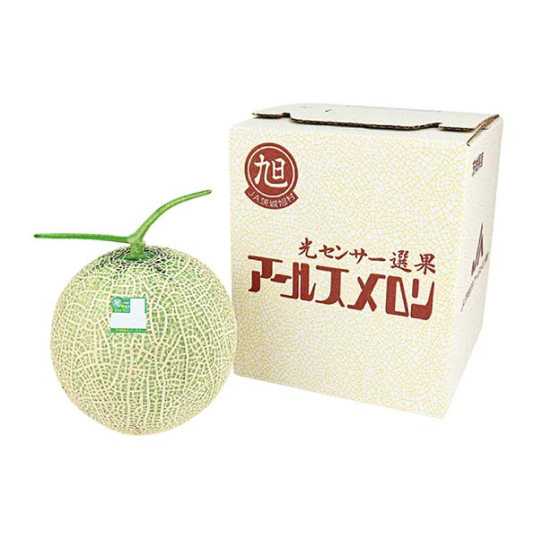 茨城県産 JA茨城旭村アールスメロン 1個(お届け期間：8/21〜8/31)【夏の贈りもの・お中元】　商品画像1