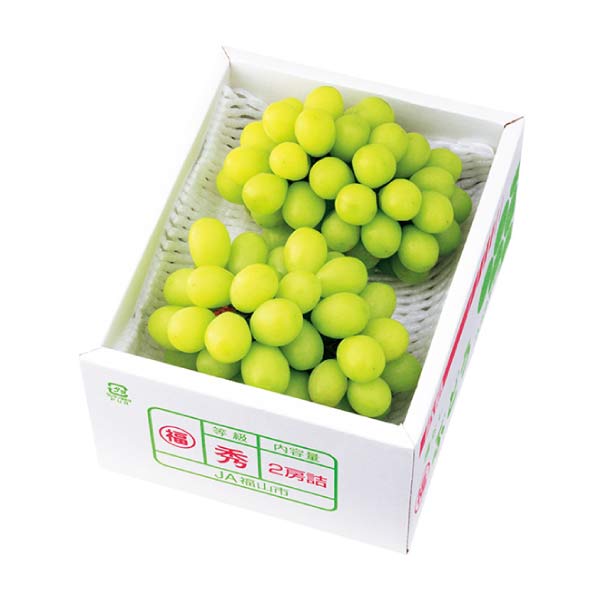 広島県産 シャインマスカット(お届け期間：8/21〜8/31)【夏の贈りもの・お中元】　商品画像1