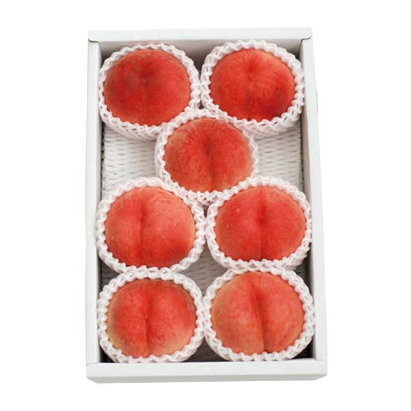 山形県産 晩夏の白桃(お届け期間：8/21〜8/31)【夏の贈りもの・お中元】　商品画像1