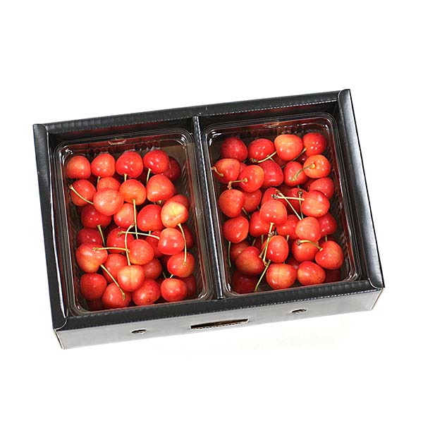 山形県産 さくらんぼ 大将錦 1kg【限定100点】【お届け期間：6月20日〜7月5日】【おいしいお取り寄せ】　商品画像1