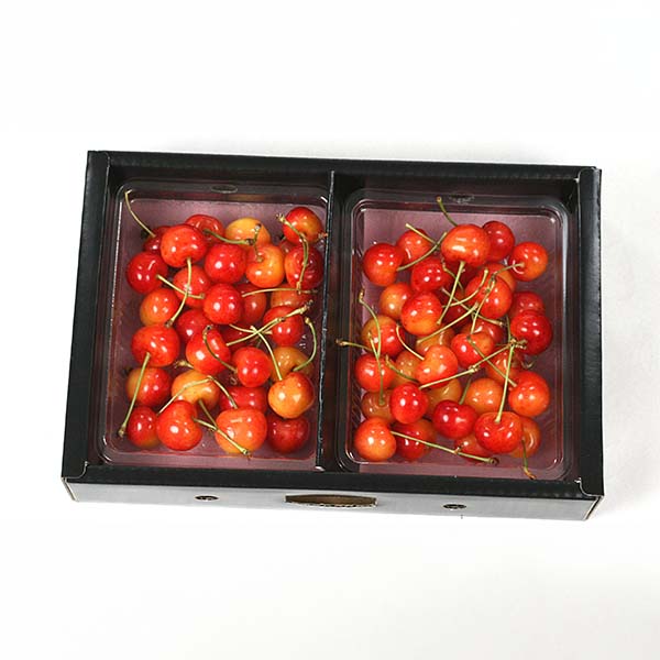 山形県産(寒河江市) 品評会等多数受賞生産者の佐藤錦または紅秀峰 秀品 600g L以上【限定100点】【お届け期間：6月18日〜7月5日】【おいしいお取り寄せ】　商品画像1