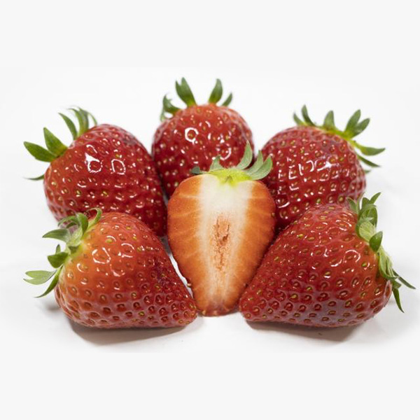 島根県産(イオン島根安来農場) イオン農場いちご(スターナイト・紅ほっぺ) 1箱2パック入り(250g以上×2)【お届け期間:3月20日〜3月31日】【NN】 商品画像1