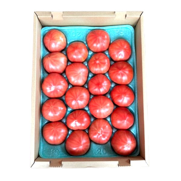 愛知県産JA愛知みなみ ファーストトマト 20玉入り(Lサイズ)【超！春トク祭り】【CB】　商品画像1