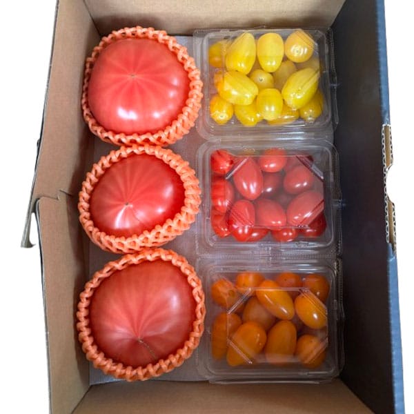 愛知県産 トマト詰め合わせ(JA愛知みなみファーストトマト3個・JAとよはしミニトマトクレア150g×3種)【CB】 商品画像1