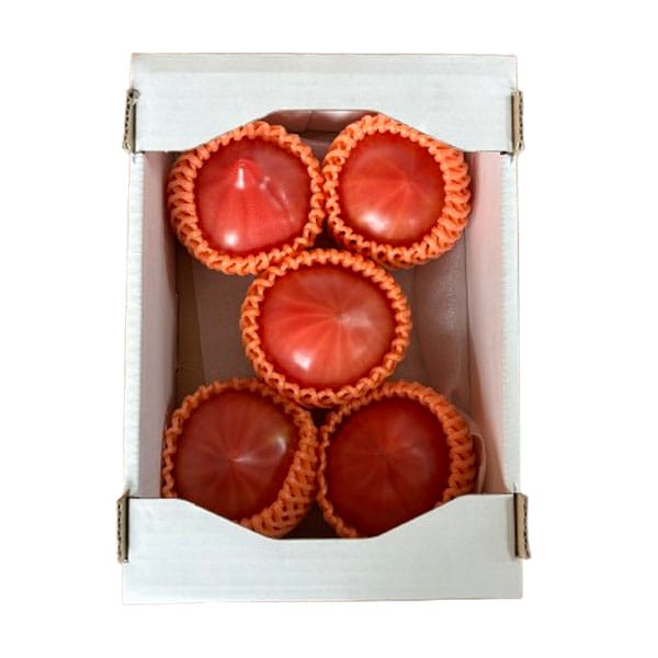 愛知県産JA愛知みなみ ファーストトマト 5〜6玉入り(MもしくはLサイズ)【CB】　商品画像1